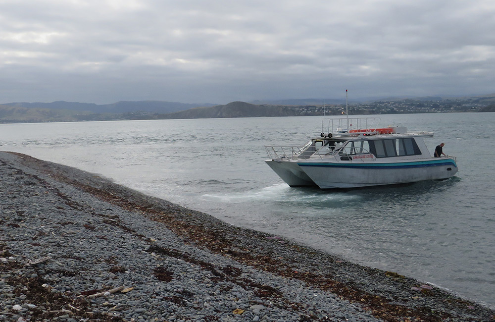 Guided day trips to Mana Island | History, scenery, birds